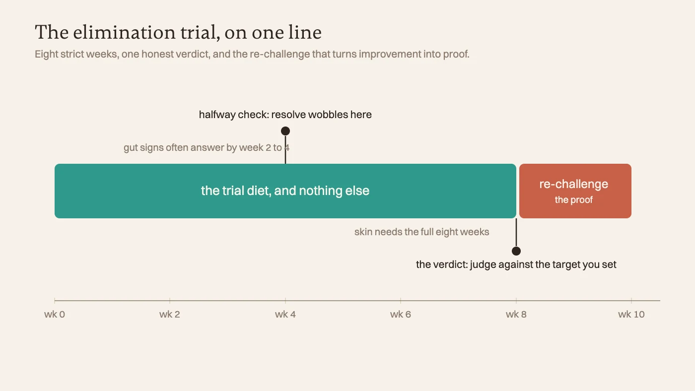 Elimination trial timeline